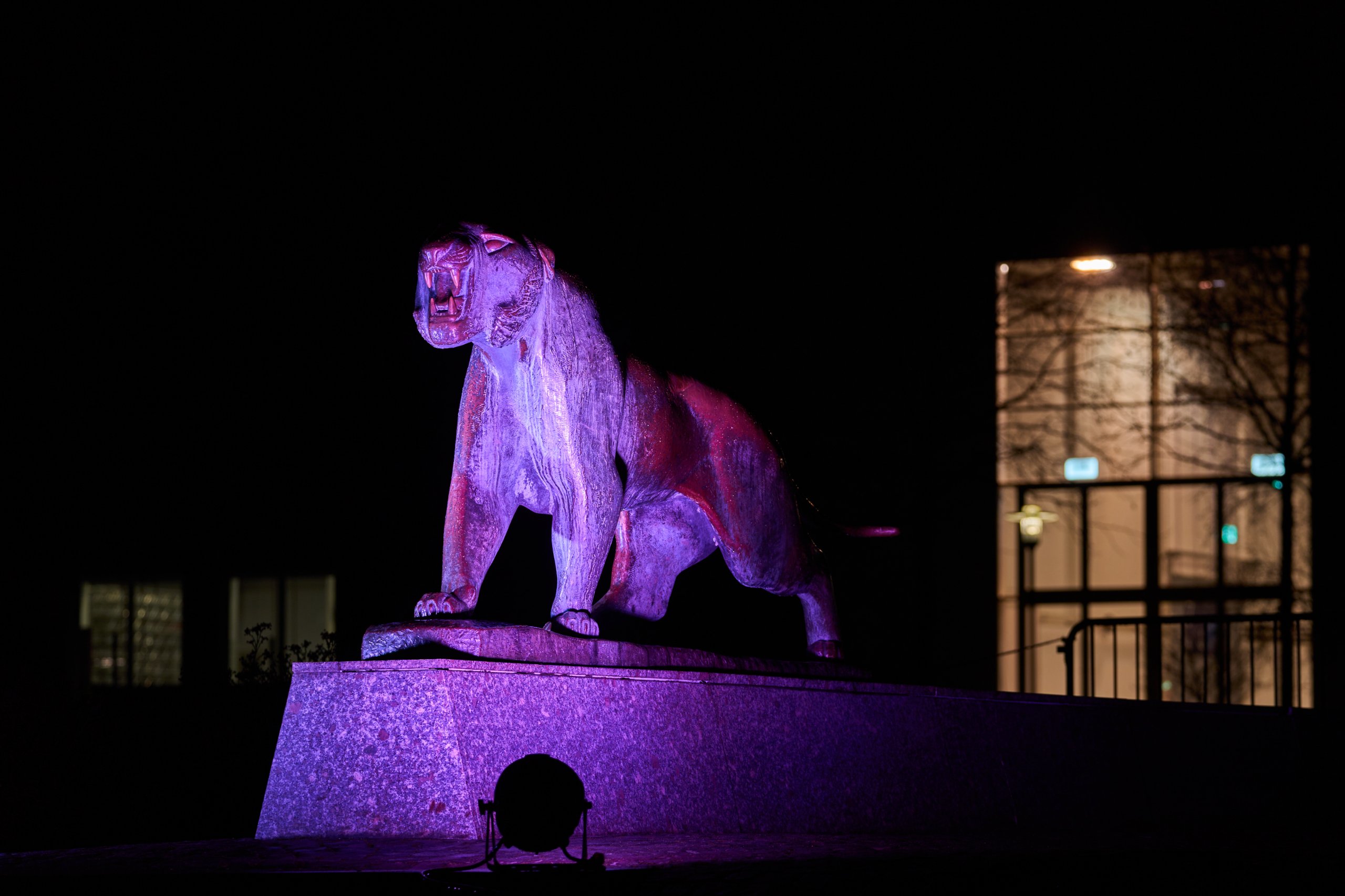 2026 02 03 Parkleuchten 0092